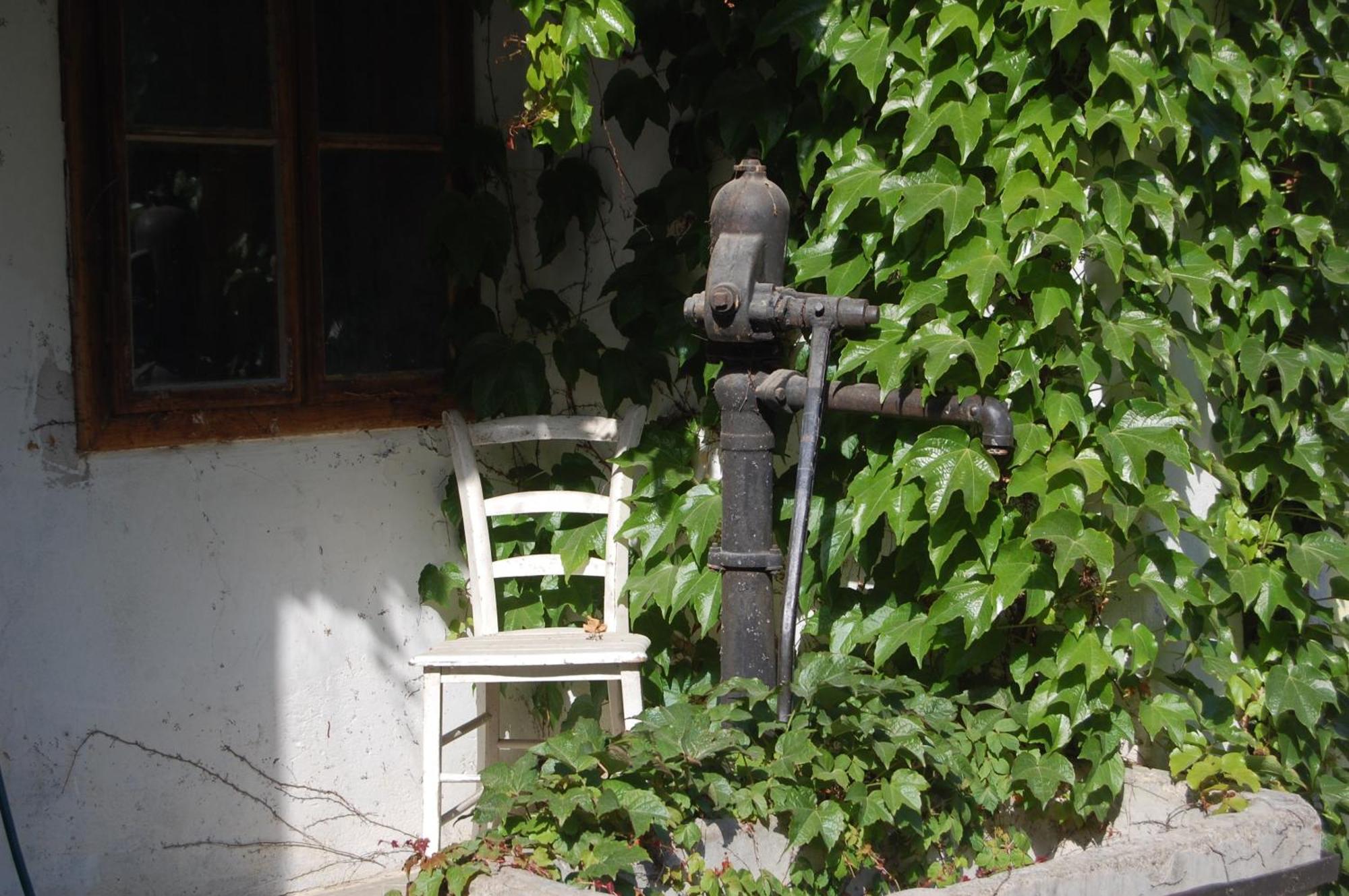 Hofgassl Zentgraf Bed & Breakfast Mörbisch am See Exterior foto