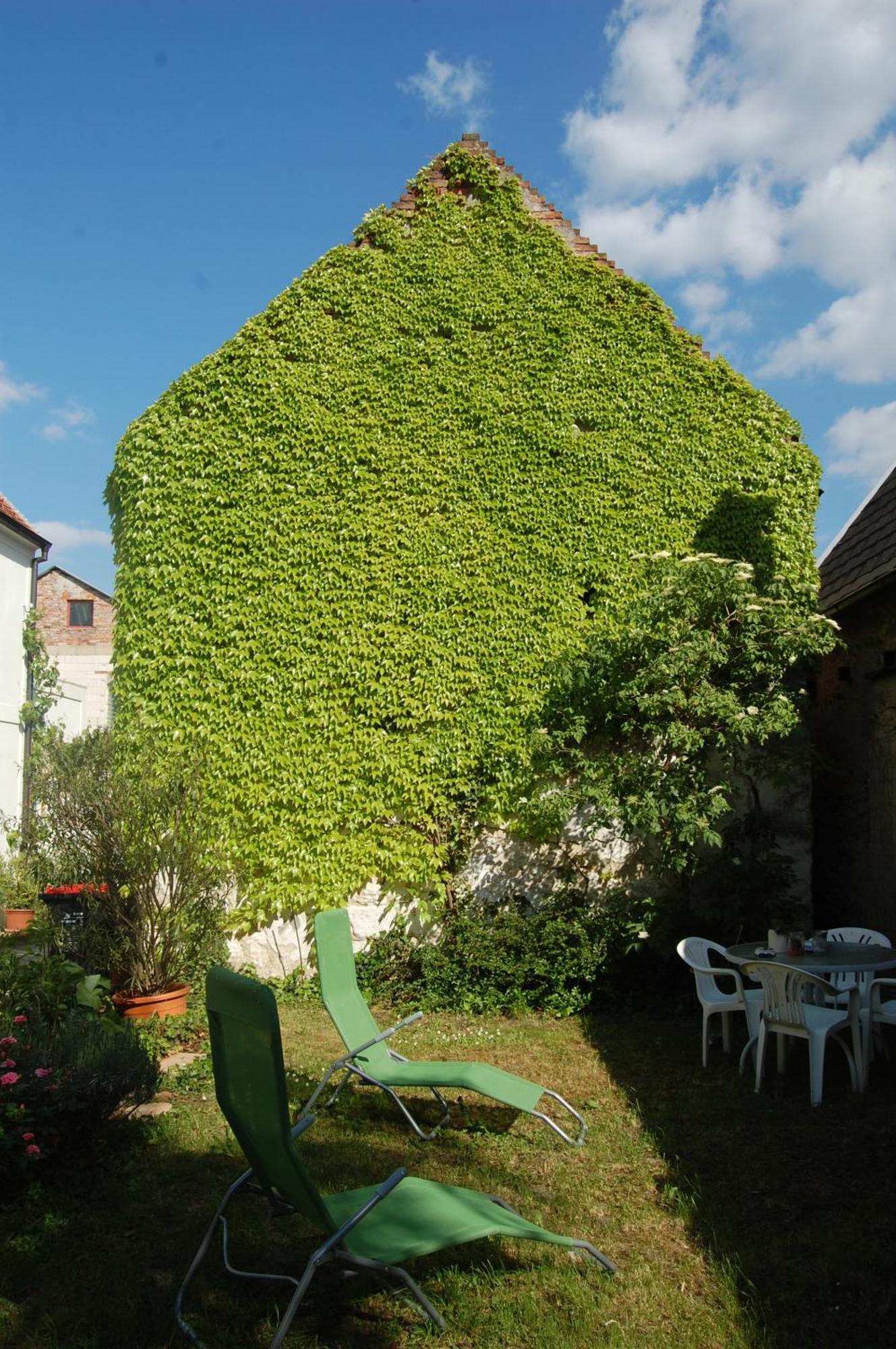Hofgassl Zentgraf Bed & Breakfast Mörbisch am See Exterior foto