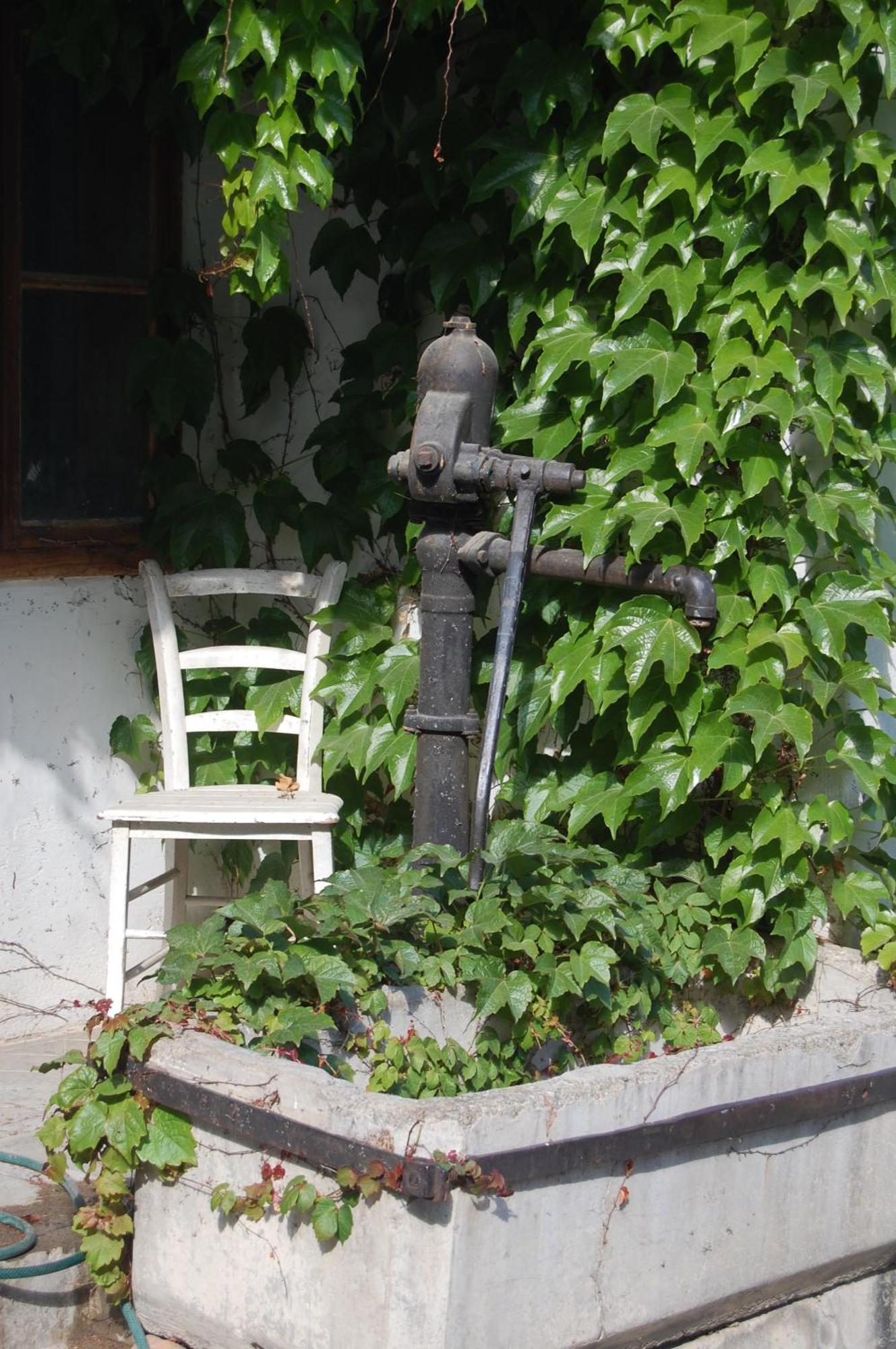Hofgassl Zentgraf Bed & Breakfast Mörbisch am See Exterior foto