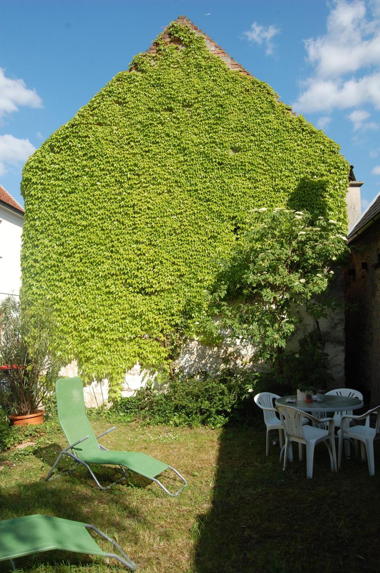 Hofgassl Zentgraf Bed & Breakfast Mörbisch am See Exterior foto